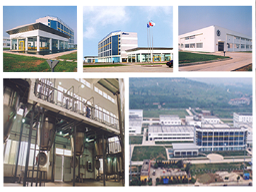 以花为序，向美而生